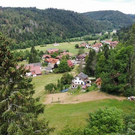 Zum Eichbuehl Apartment St. Blasien Luaran gambar