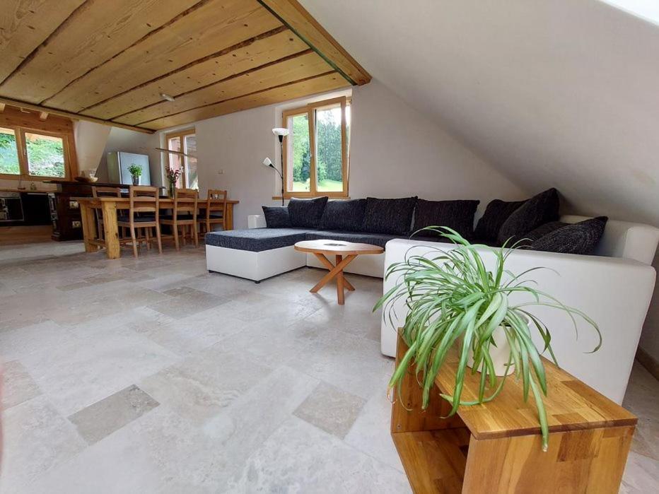 Zum Eichbuehl Apartment St. Blasien Luaran gambar