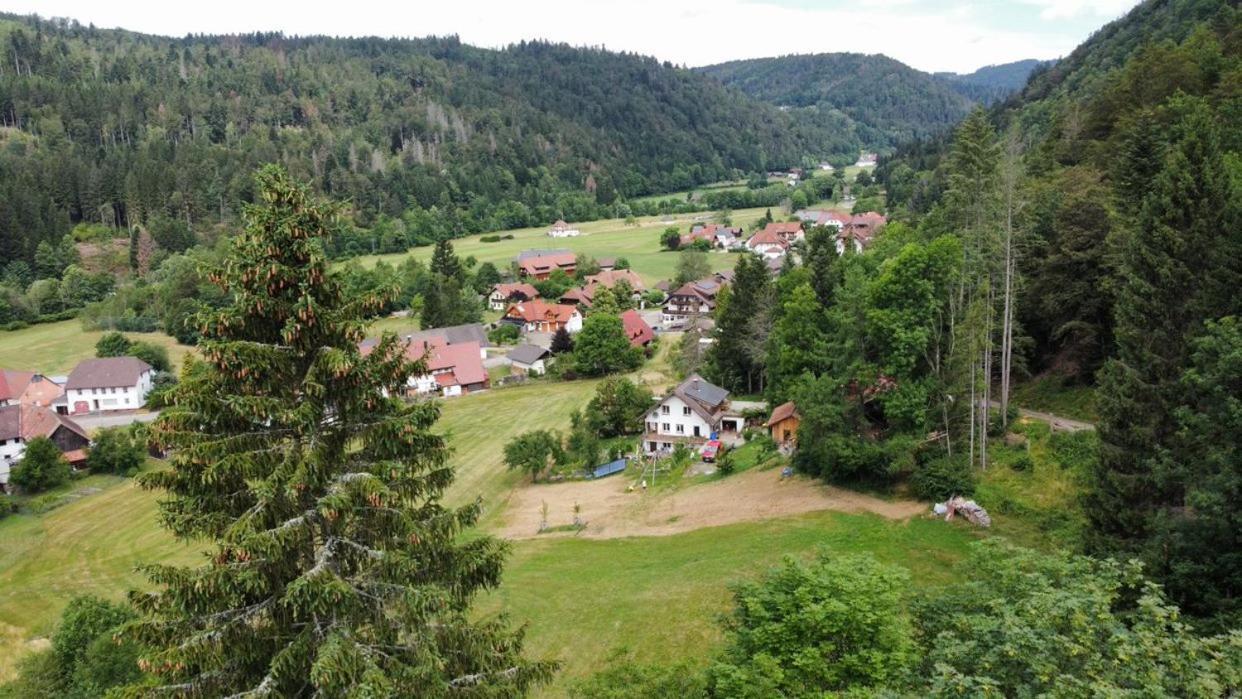 Zum Eichbuehl Apartment St. Blasien Luaran gambar